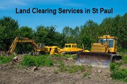 Tree Removal Saint Paul mn