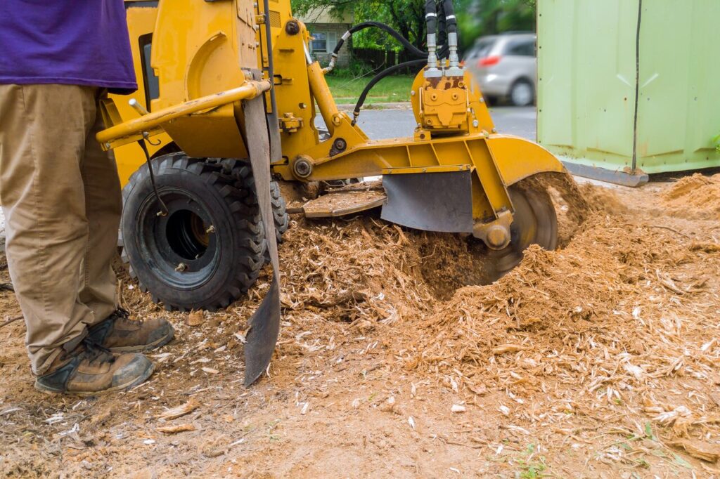 stump grinding